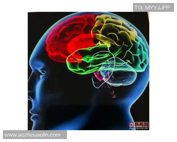 南京乒乓球队战术分析与未来发展方向的深度探讨